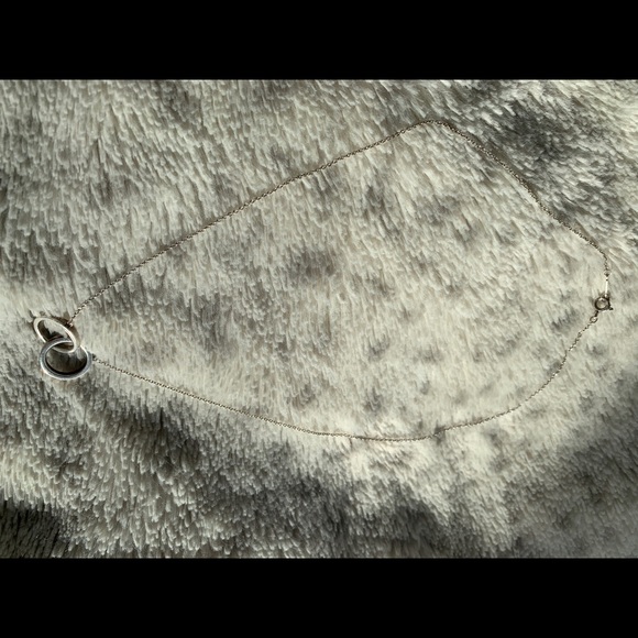 Tiffany Interlocking Circles Pendant Necklace - Picture 2 of 5